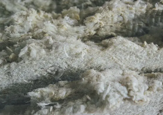 Viscose & Lyocell Fiber