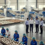 cara membuat kopra kelapa